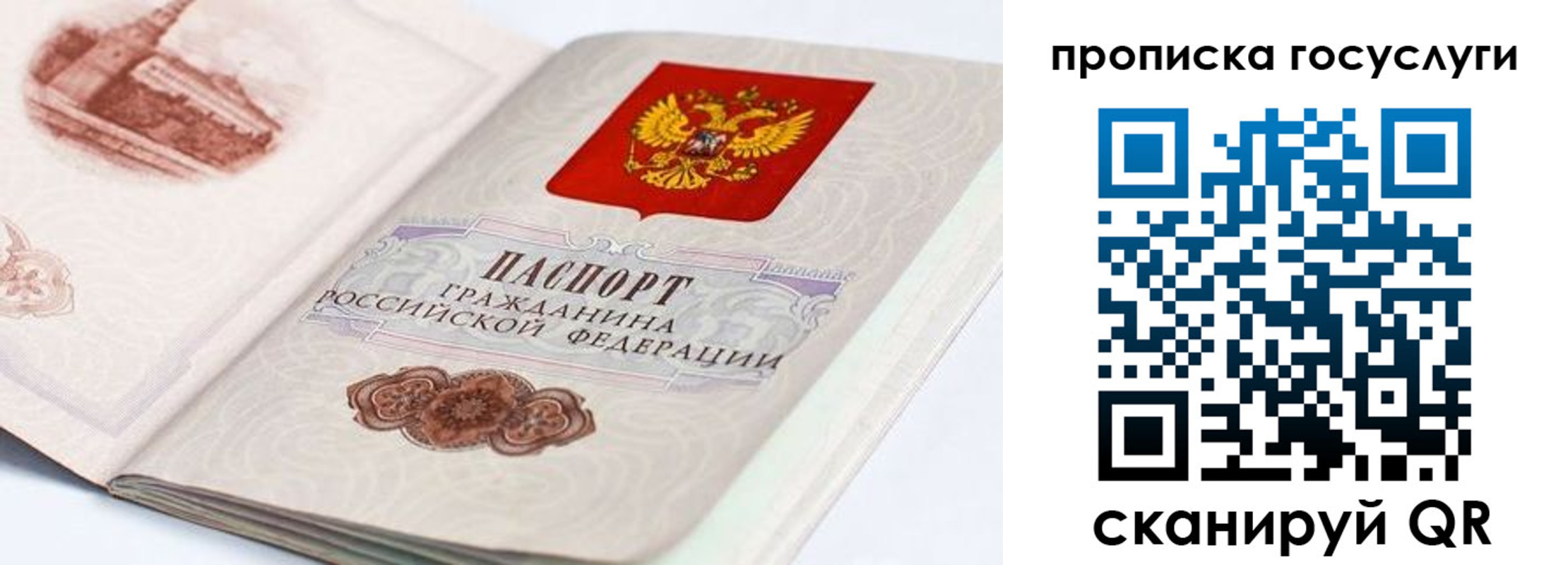 прописка для работы в Димитровграде